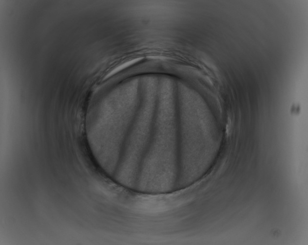 X0000089440029200707131915