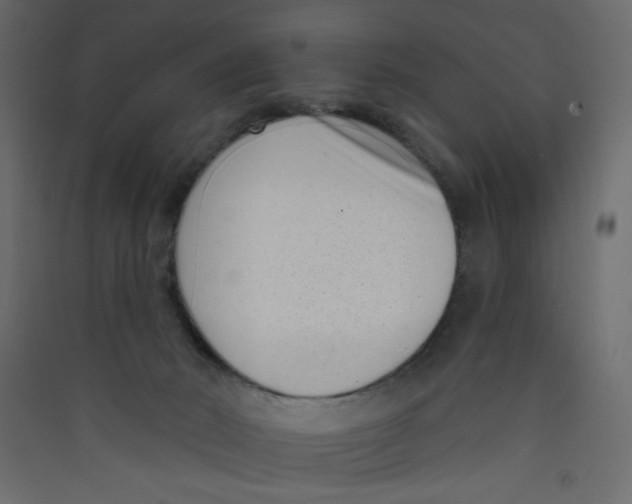 X0000089440030200707131915