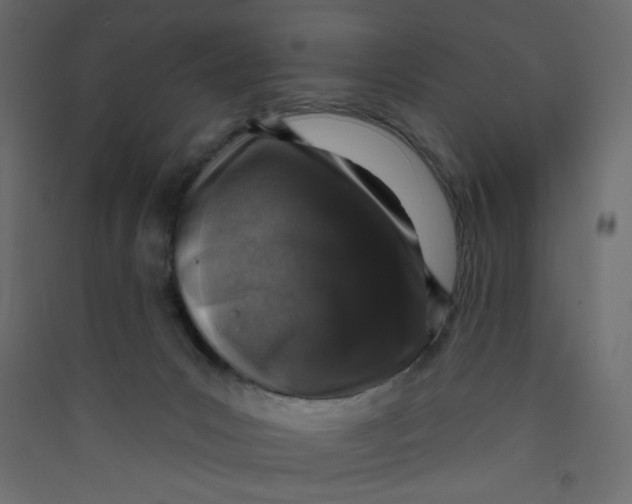 X0000089440031200707131915