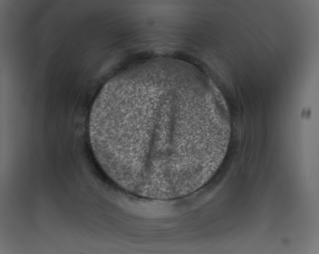 X0000089440032200707131915