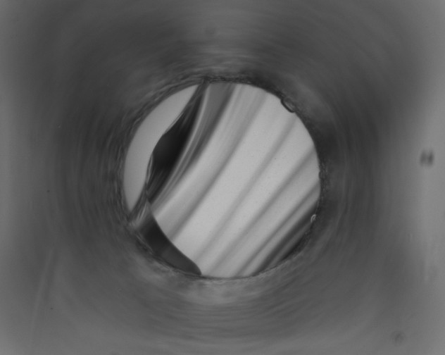 X0000089440033200707131915