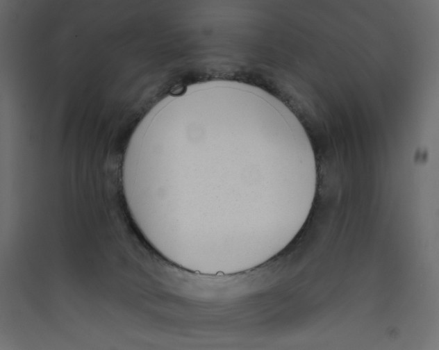 X0000089440034200707131915