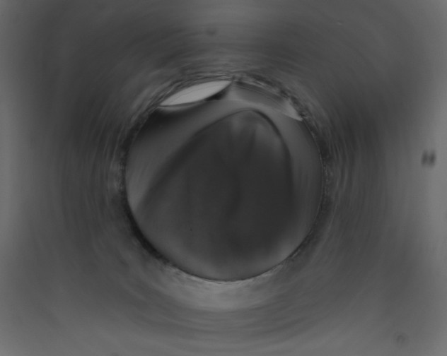 X0000089440035200707131915