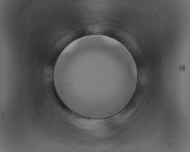 X0000089440036200707131915