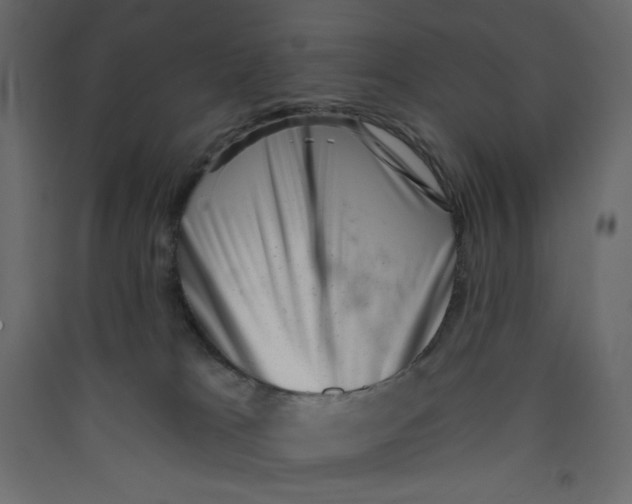 X0000089440037200707131915