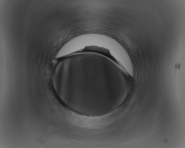 X0000089440039200707131915