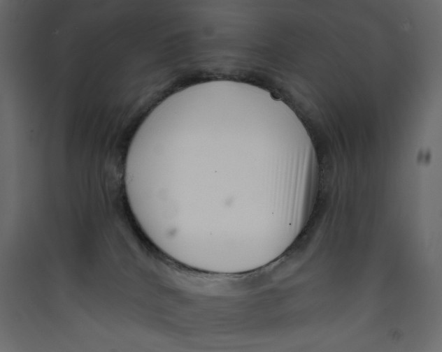 X0000089440040200707131915