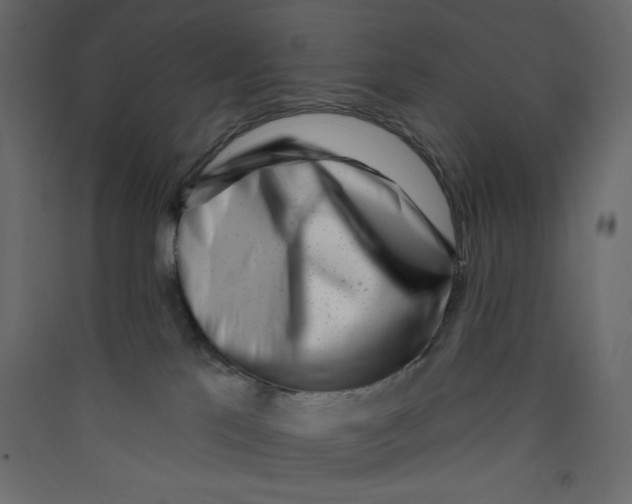 X0000089440041200707131915