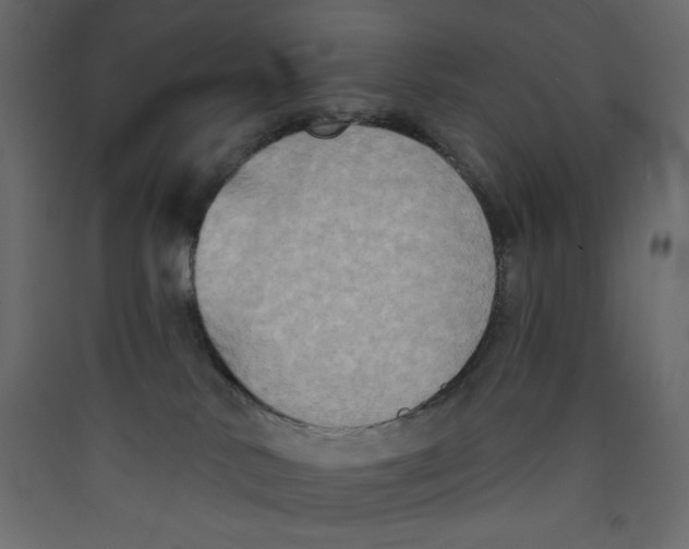 X0000089440042200707131915