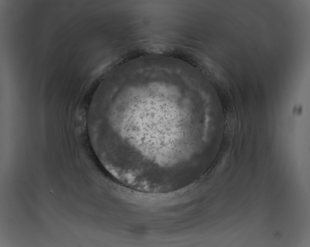 X0000089440043200707131915