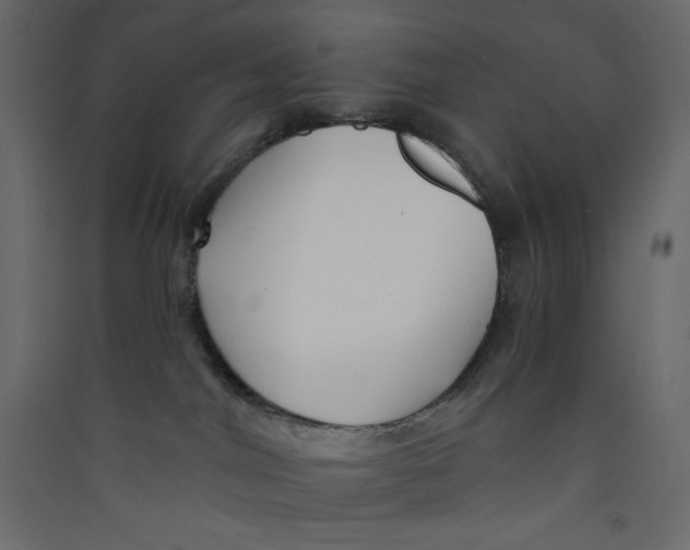 X0000089440044200707131915