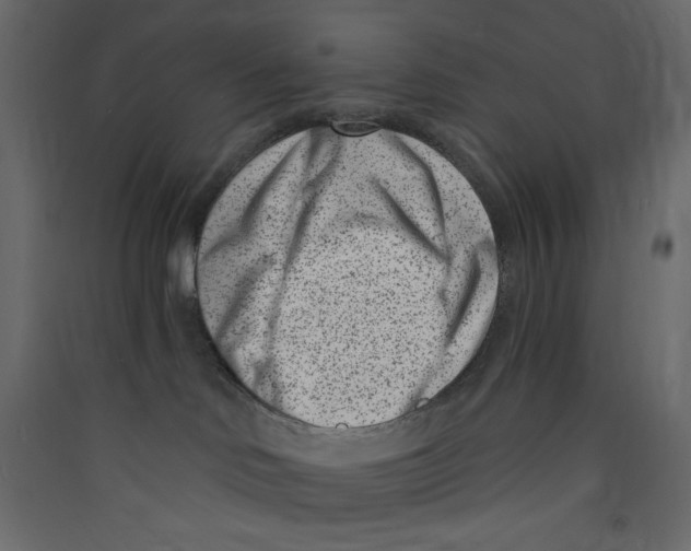 X0000089440046200707131915
