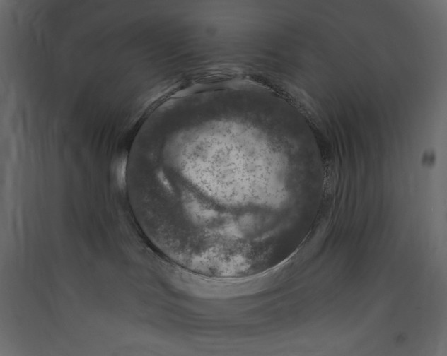 X0000089440047200707131915