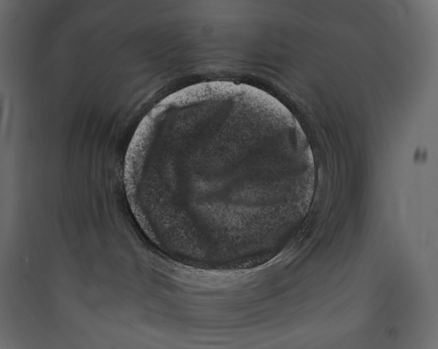 X0000089440048200707131915