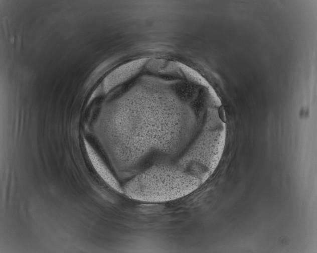 X0000089440051200707131914