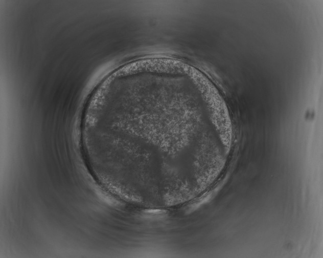 X0000089440053200707131914