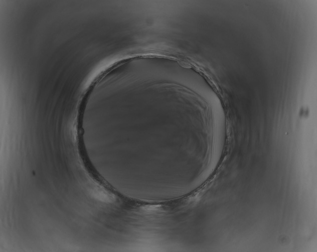X0000089440054200707131914