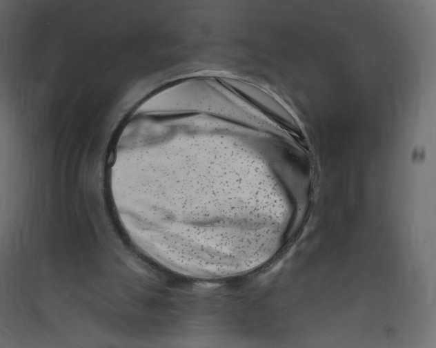X0000089440055200707131914