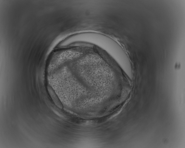 X0000089440056200707131914