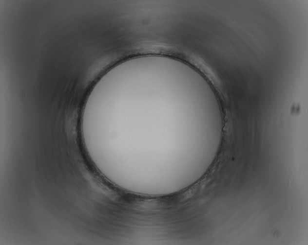 X0000089440058200707131914