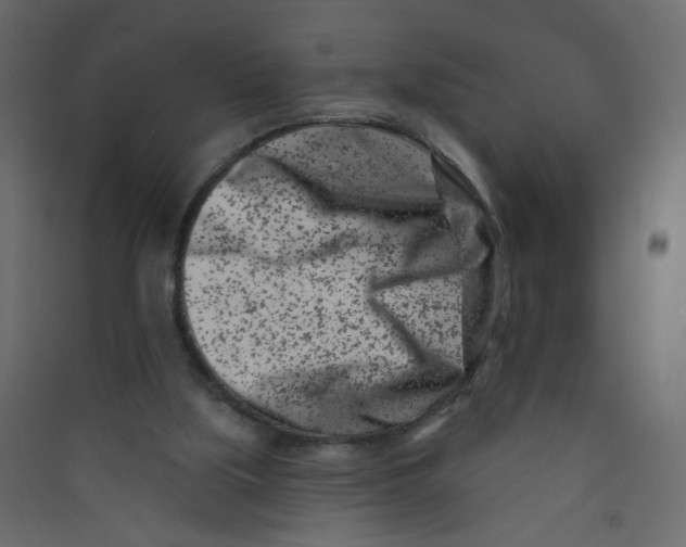 X0000089440059200707131914