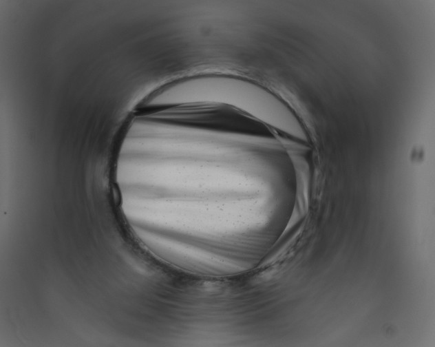 X0000089440060200707131914