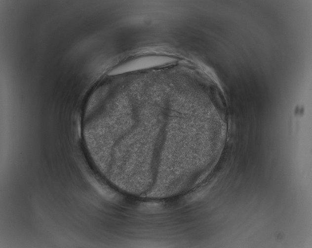 X0000089440061200707131914
