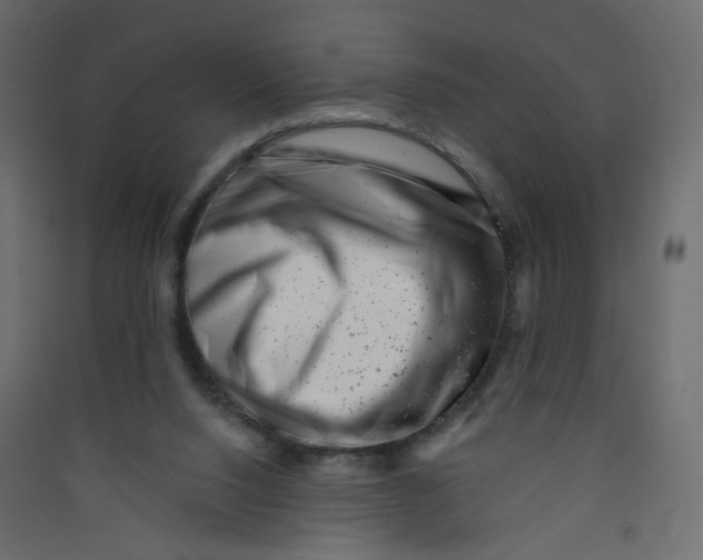 X0000089440064200707131914