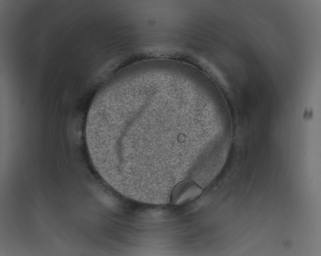 X0000089440065200707131914