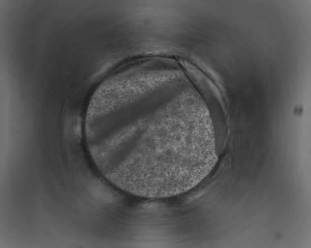 X0000089440067200707131914