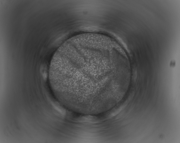 X0000089440069200707131914