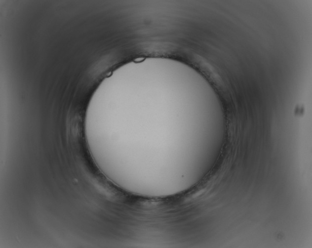 X0000089440071200707131914