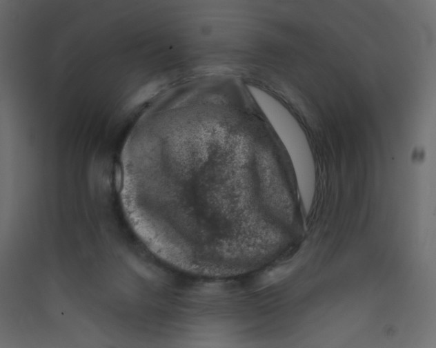 X0000089440072200707131914