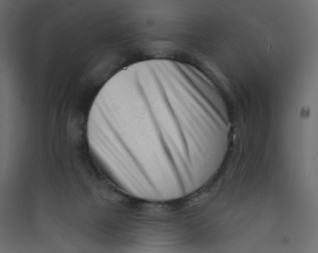 X0000089440073200707131914