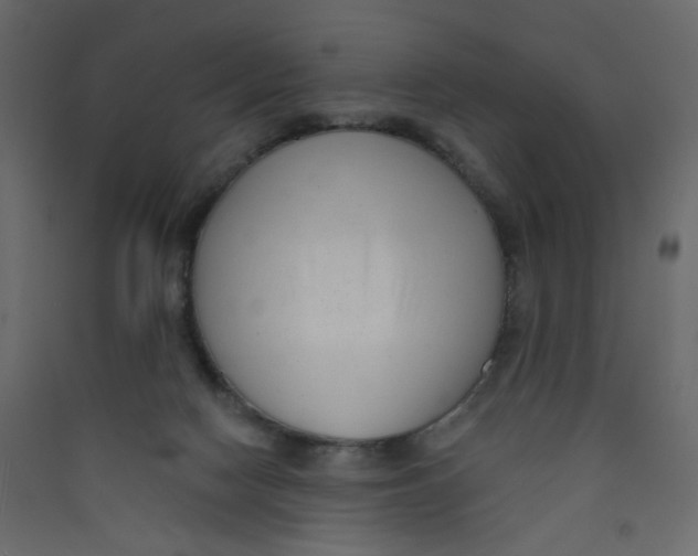 X0000089440074200707131914