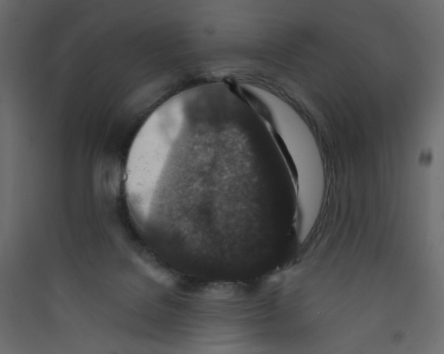 X0000089440076200707131914