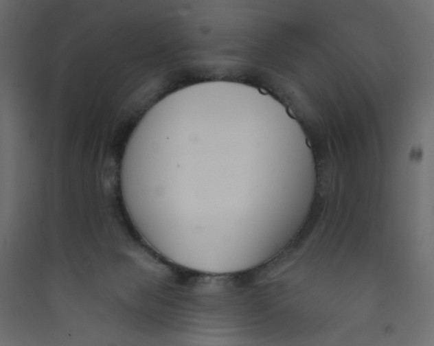 X0000089440077200707131914