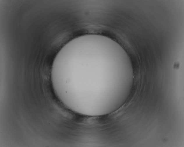 X0000089440078200707131915