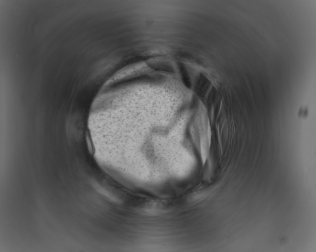 X0000089440080200707131915