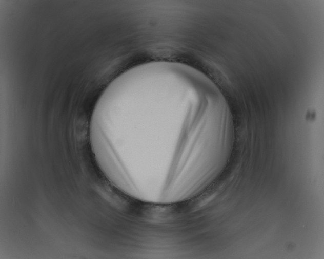 X0000089440081200707131915