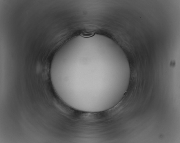 X0000089440082200707131915