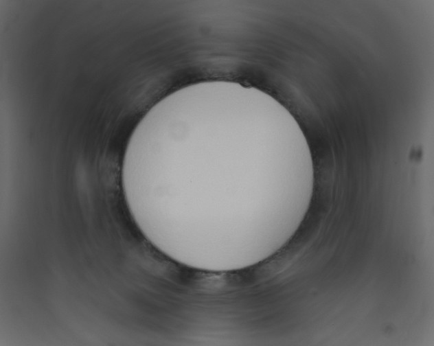 X0000089440083200707131915