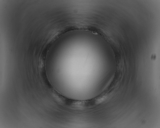 X0000089440084200707131915