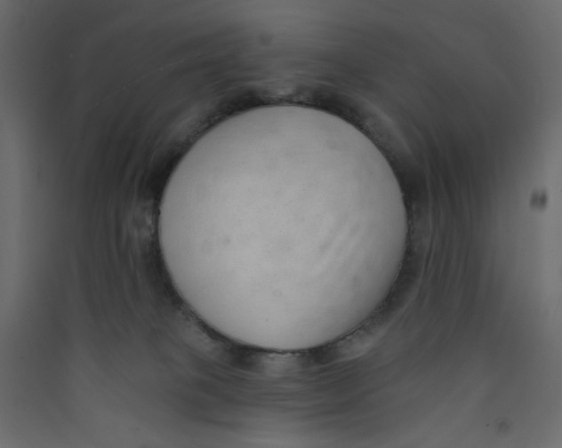 X0000089440085200707131915