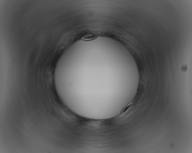 X0000089440086200707131915
