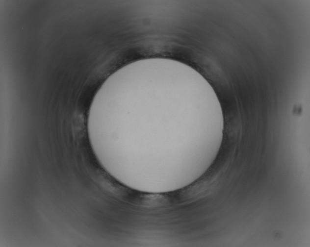 X0000089440087200707131915