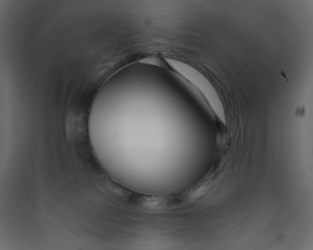 X0000089440088200707131915