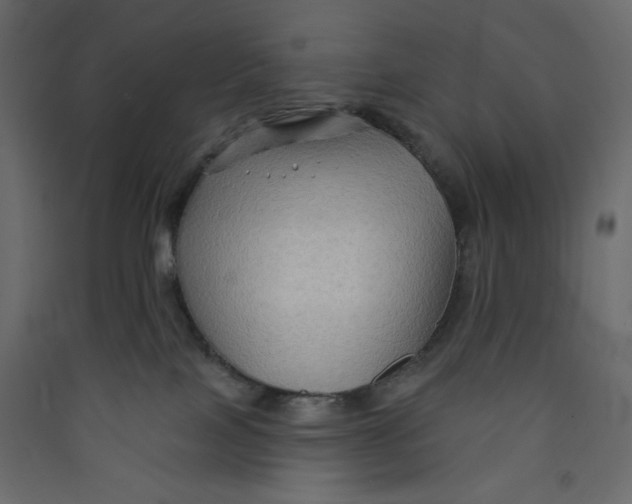 X0000089440089200707131915