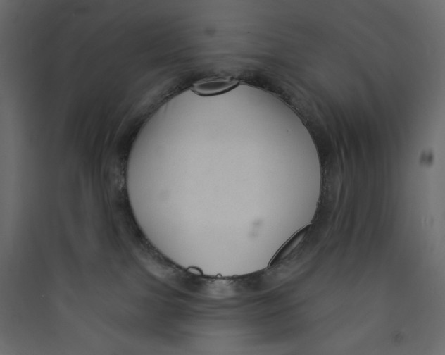 X0000089440091200707131915