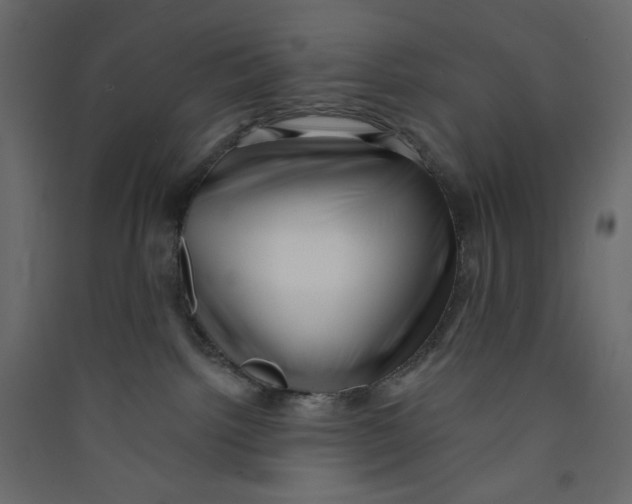 X0000089440092200707131915